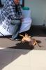 IMG 0226 IMG 0226