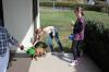 IMG 0239 IMG 0239