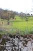 IMG 0008 IMG 0008
