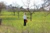 IMG 0017 IMG 0017