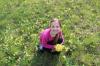 IMG 0020 IMG 0020