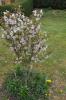 IMG 0051 IMG 0051
