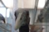 IMG 0025 IMG 0025