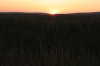 IMG 0018 IMG 0018