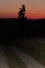 IMG 0032 IMG 0032