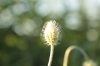 IMG 0013 IMG 0013