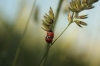 IMG 0018 IMG 0018