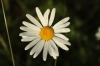 IMG 0027 IMG 0027