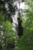 IMG 0377 IMG 0377
