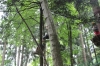 IMG 0395 IMG 0395