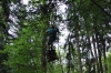 IMG 0399 IMG 0399