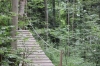 IMG 0425