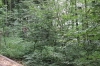 IMG 0433 IMG 0433