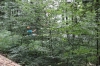 IMG 0448 IMG 0448