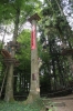 IMG 0463 IMG 0463