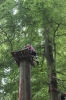 IMG 0475 IMG 0475