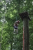 IMG 0484 IMG 0484