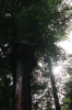 IMG 0504 IMG 0504