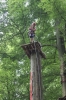 IMG 0507 IMG 0507