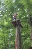 IMG 0512