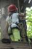 IMG 0542 IMG 0542