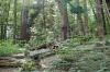 IMG 0569 IMG 0569
