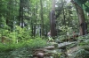 IMG 0585 IMG 0585