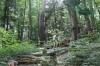 IMG 0587 IMG 0587