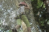 IMG 0610 IMG 0610