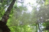 IMG 0611 IMG 0611