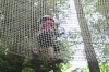IMG 0613 IMG 0613