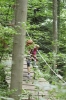 IMG 0660 IMG 0660