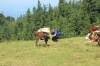 IMG 0025 IMG 0025