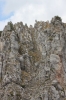 IMG 0062 IMG 0062