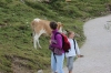 IMG 0071 IMG 0071