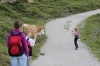 IMG 0072 IMG 0072