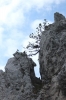 IMG 0106 IMG 0106