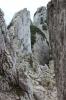 IMG 0180 IMG 0180