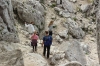 IMG 0184 IMG 0184
