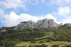 IMG 0203 IMG 0203