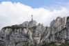 IMG 0204 IMG 0204