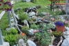 IMG 0218 IMG 0218