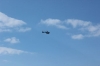 IMG 0244 IMG 0244