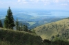 IMG 0249 IMG 0249