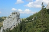 IMG 0250 IMG 0250