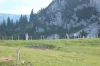 IMG 0260 IMG 0260