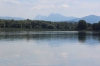 IMG 0012 IMG 0012