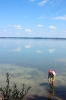 IMG 0018 IMG 0018