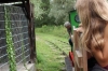 IMG 0090