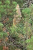 IMG 0125